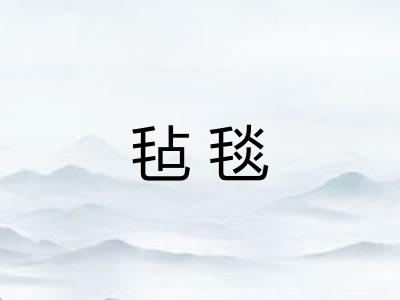 毡毯