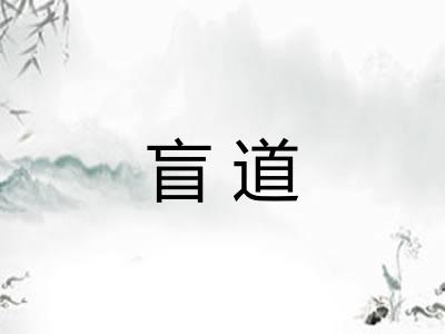 盲道