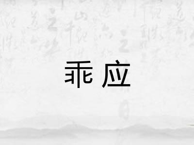 乖应