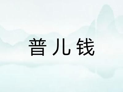 普儿钱