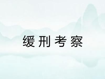 缓刑考察