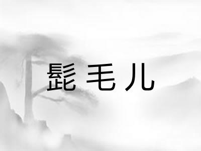 髭毛儿