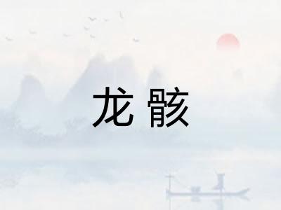 龙骸