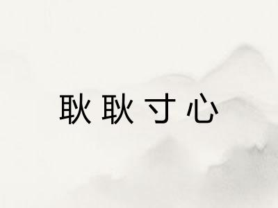 耿耿寸心
