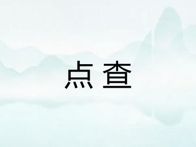 点查