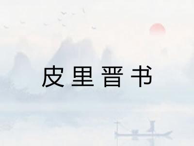 皮里晋书