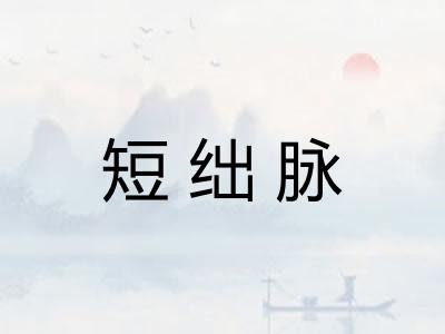 短绌脉
