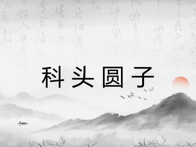 科头圆子