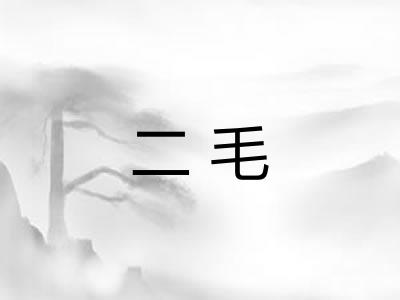 二毛