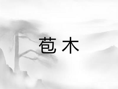 苞木