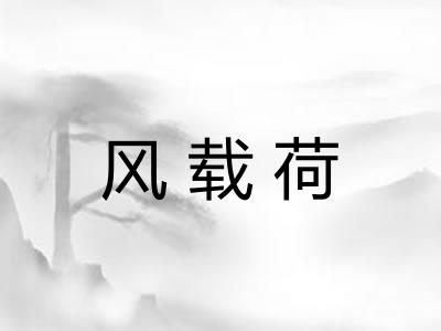 风载荷