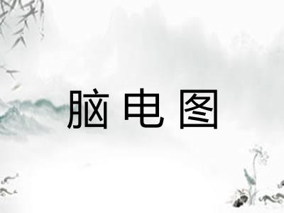 脑电图