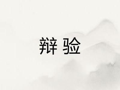 辩验