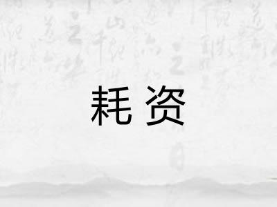 耗资