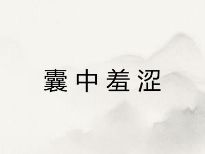囊中羞涩