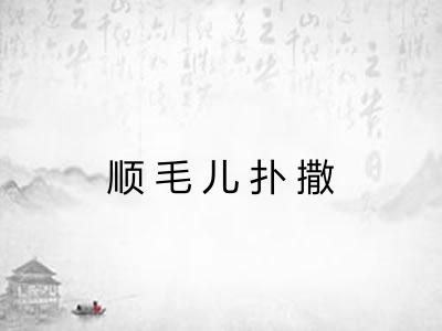 顺毛儿扑撒