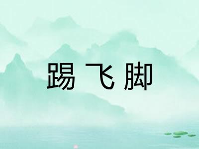 踢飞脚