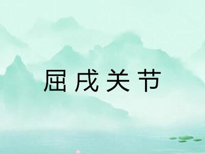屈戌关节