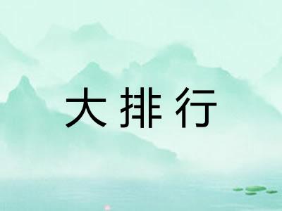 大排行