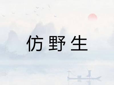 仿野生