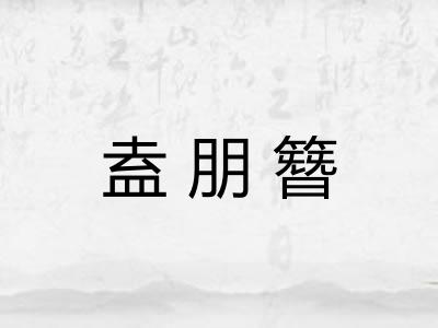盍朋簪