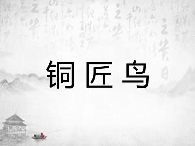 铜匠鸟