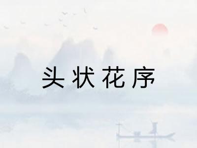 头状花序