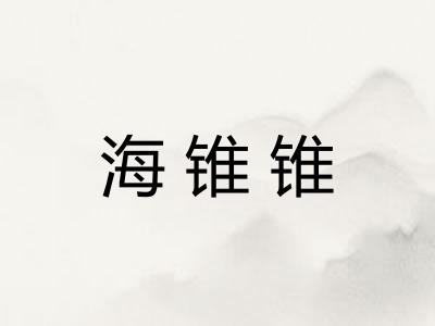 海锥锥