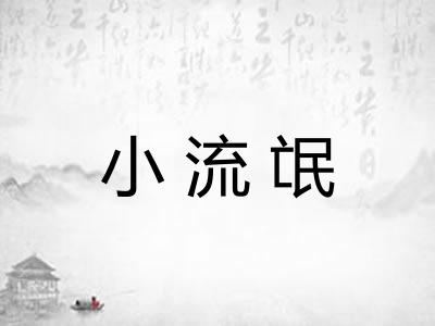 小流氓