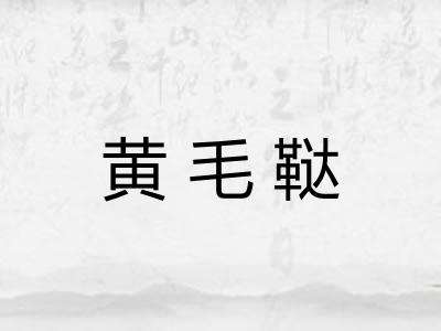黄毛鞑