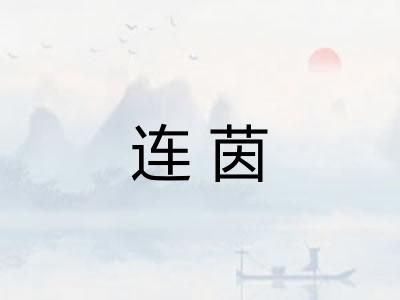 连茵