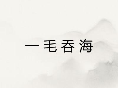 一毛吞海