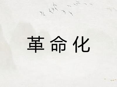 革命化