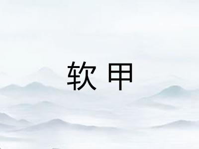 软甲