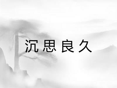 沉思良久