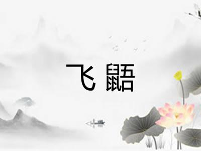 飞鼯