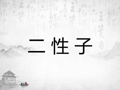 二性子