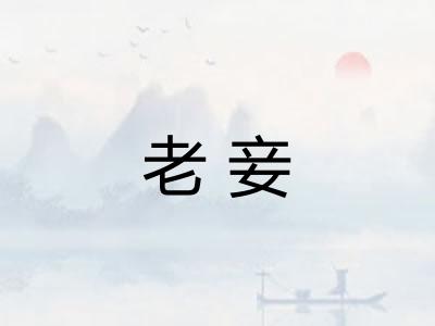 老妾