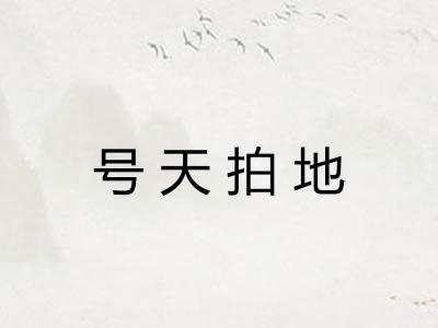 号天拍地