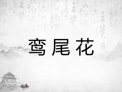 鸾尾花
