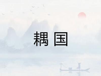 耦国