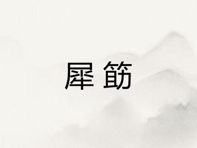 犀筯