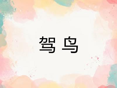 驾鸟