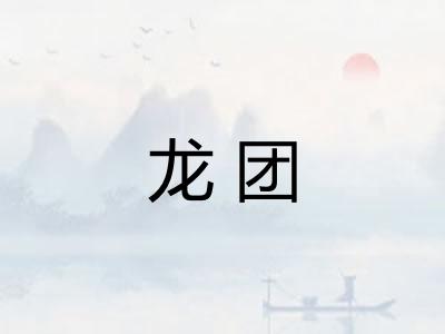 龙团