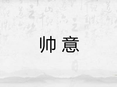 帅意