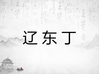 辽东丁