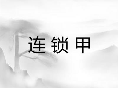 连锁甲