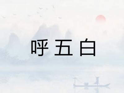 呼五白
