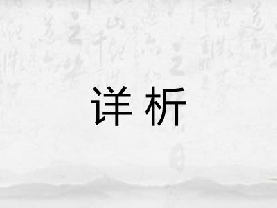 详析