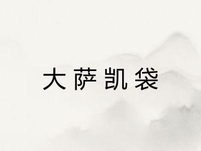 大萨凯袋